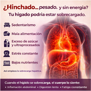 Liver- 💚 Apoya la salud de tu hígado y siéntete más ligero cada día 60 caps..