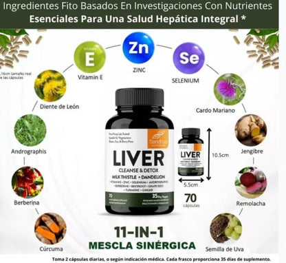 Liver- 💚 Apoya la salud de tu hígado y siéntete más ligero cada día 60 caps..